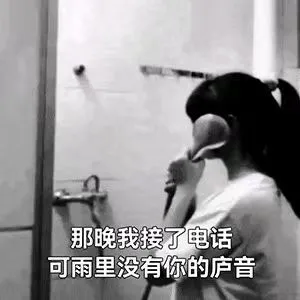 那晚我接了电话可雨里没有你的庐音