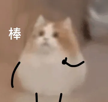 棒