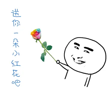 彩色玫瑰