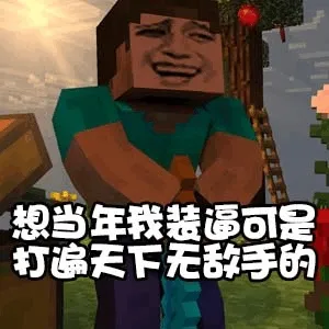 我的世界+反迷你
