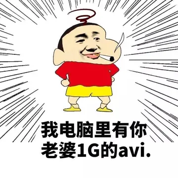 我电脑里有你老婆1G的avi