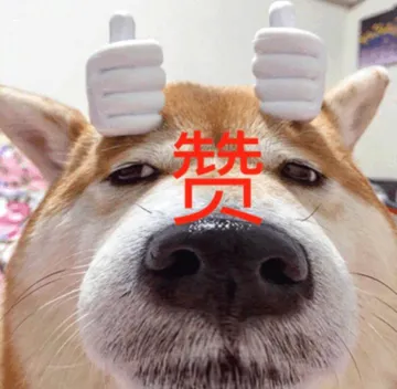 赞（大嘴狗表情包）