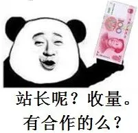 站长 呢？收量，有合作的么？