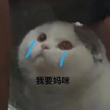 我要妈咪