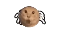小猫蜘蛛爬行表情包