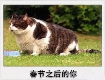 纯洁之后的你