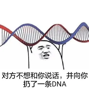 对方不想和你说话，并向你扔了一条DNA