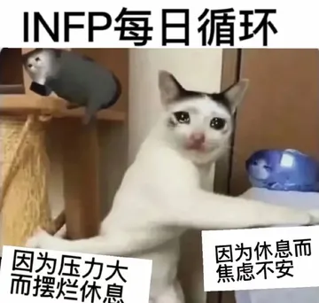 INFP每日循环因为压力大因为休息而焦虑不安而摆烂休息