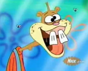 Sandy Cheeks Duhh