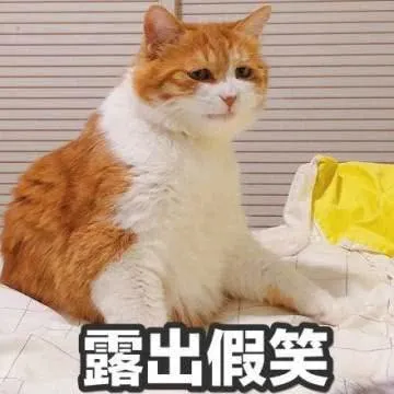 露出假笑