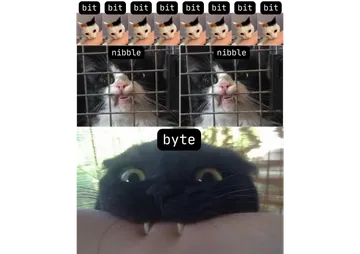 Cats Improve Everything