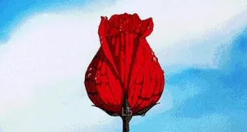 花开了（宋民国）