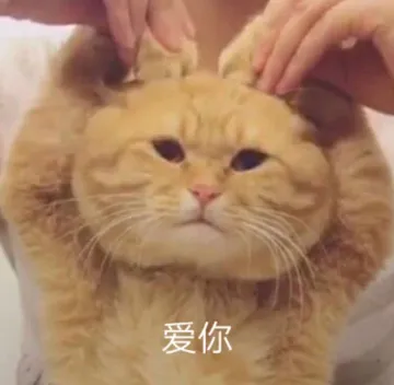 爱你