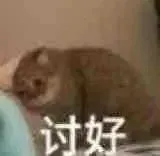 讨好
