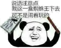 说话注意点 我这一盒蜘蛛王下去 可不是闹着玩的