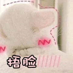 捂脸小猫
