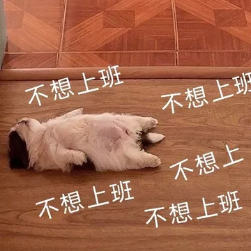 不想上班不想上班不想上不想上班不想上班