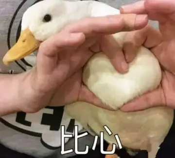 开心鸭00015-比心