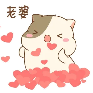 老婆