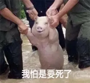 你：我不要面子的啊？