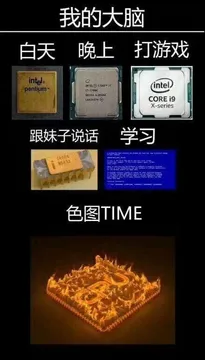 我的大脑