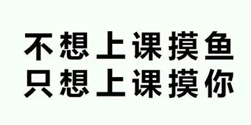 不想上课摸鱼，只想上课摸你
