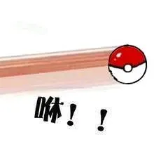 咻!!(精灵球)
