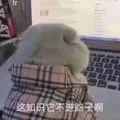 微信网友贡献表情包暂存有时间慢慢整理