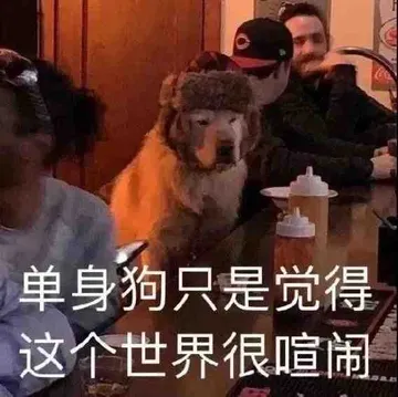 单身狗只是觉得这个世界很喧闹