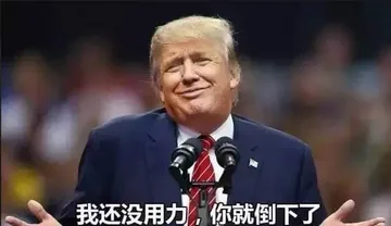 特朗普00020-我还没用力你就倒下了