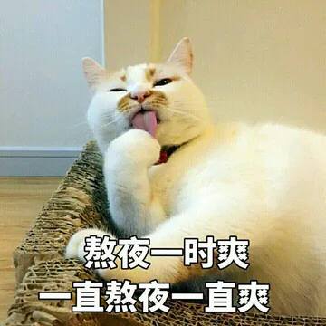 熬夜一时爽.一直熬夜一直爽