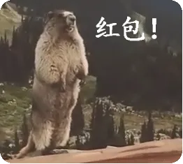 红包!(山鼠呐喊)