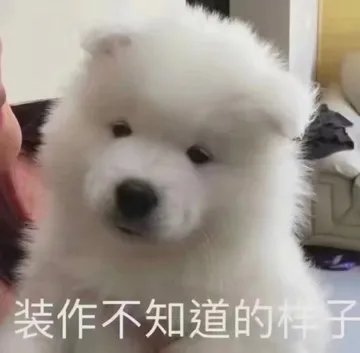 装作不知道的样子