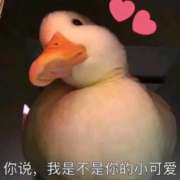 开心鸭00027-你说我是不是你的小可爱