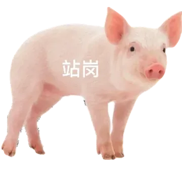 站岗