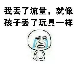 我丢了流量，就像孩子丢了玩具一样