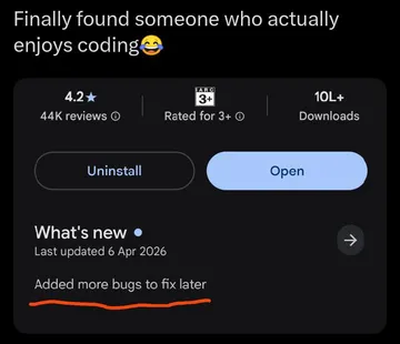 Someone Enjoys Coding