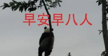 早八人表情包有哪些