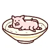猪猪在碗里