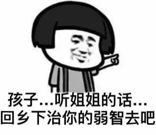 孩子。。听姐姐的话。。回乡下治你的弱智去吧