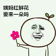 姨妈红鲜花要来一朵吗？