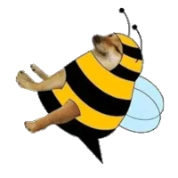 cheems柴犬动图表情包