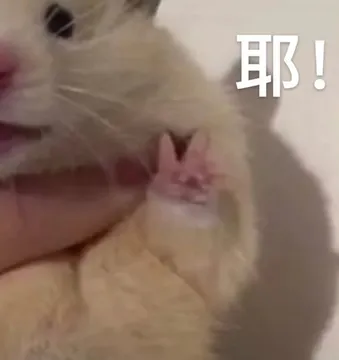 耶!