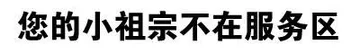 您的小祖宗不在服务区
