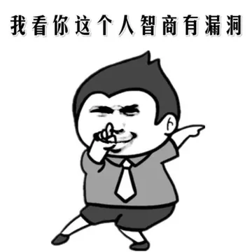 我看你这个人智商有漏洞
