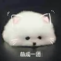 萌成一团
