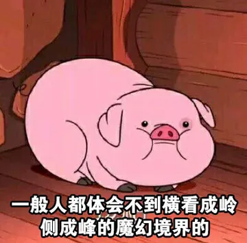 一般人都体会不到横看成岭侧成峰的魔幻境界的