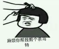 麻烦你帮我剪个杀马特！（蘑菇头）