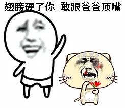 翅膀硬了你，敢跟爸爸顶嘴