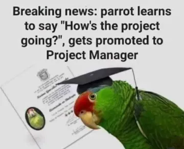 Breaking News: Parrot Gets Promoted To Project Manager